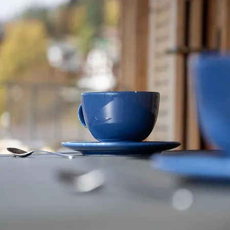 公寓 Schweizerheim Apt-5 By Interhome